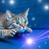 星空无痕mv免费观看完整版高清破解版